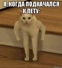 я, когда подкачался к лету: 