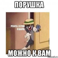 порушка можно к вам