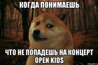 когда понимаешь что не попадешь на концерт open kids