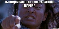 ты подписался на канал анатолия шария? 