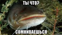 ты что? сомниваешься
