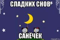 сладких снов санёчек