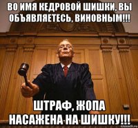 во имя кедровой шишки, вы объявляетесь, виновным!!! штраф, жопа насажена на шишку!!!