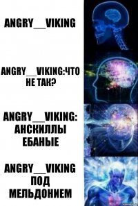 Angry__Viking Angry__Viking:что не так? Angry__Viking: Анскиллы ебаные Angry__Viking под мельдонием