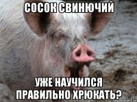 сосок свинючий уже научился правильно хрюкать?