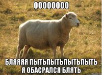 оооооооо бляяяя пытьпытьпытьпыть я обасрался блять