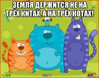 земля держится не на трёх китах, а на трёх котах! 