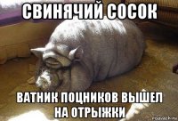 свинячий сосок ватник поцников вышел на отрыжки