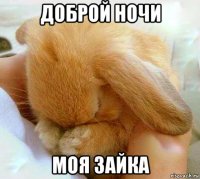 доброй ночи моя зайка