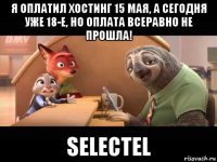 я оплатил хостинг 15 мая, а сегодня уже 18-е, но оплата всеравно не прошла! selectel
