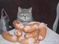 Создать мем Что не съем то понадкусываю