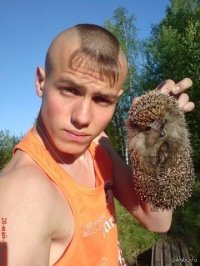 Создать мем Даже ежик осознает ущербность этой прически