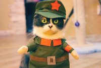 Создать мем Лапки