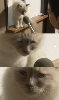 Создать мем Материться можно