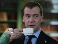 Создать мем Медведев и голубь