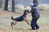 Создать мем Опасный преступник Джейкоб