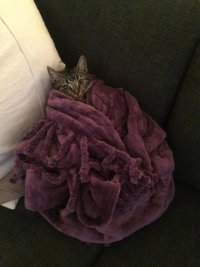 Создать мем Опп