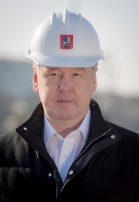 Создать мем Собянин