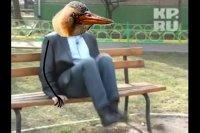 Создать мем Так вот блед