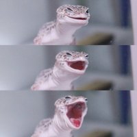 Создать мем Змея