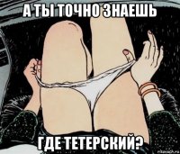 а ты точно знаешь где тетерский?