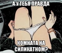 а у тебя правда комната на силикатном?