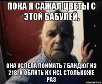пока я сажал цветы с этой бабулей, она успела поймать 7 бандюг из 218, и облить их hcl столькоже раз