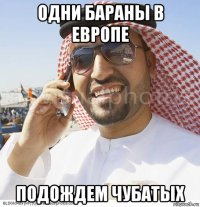 одни бараны в европе подождем чубатых
