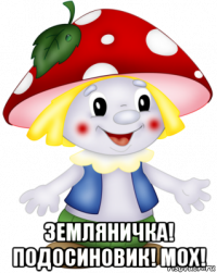  земляничка! подосиновик! мох!