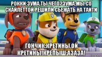 рокки:зума,ты чего?зума:мы со скайлеттой решили сбежать на таити гончик:кретины,ой кретины!крепыш:азаза!