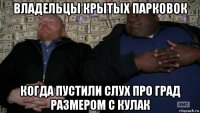 владельцы крытых парковок когда пустили слух про град размером с кулак