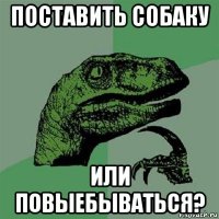 поставить собаку или повыебываться?