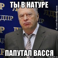 ты в натуре папутал васся