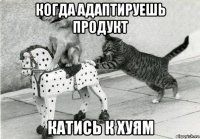 когда адаптируешь продукт катись к хуям