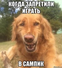 когда запретили играть в сампик