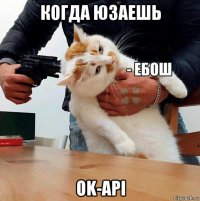 когда юзаешь ok-api