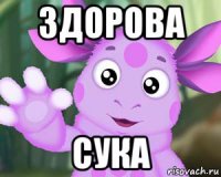 здорова сука