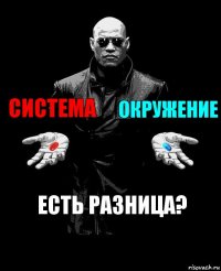 Система Окружение Есть разница?