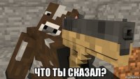  что ты сказал?