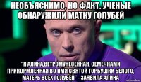 необъяснимо, но факт. ученые обнаружили матку голубей "я алина,ветромунесенная, семечками прикормленная,во имя святой горбушки белого, матерь всех голубей" - заявила алина