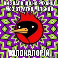 ви знали що на руханці моз втратив мільйон кілокалорій