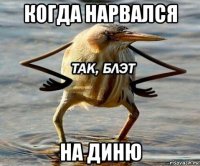 когда нарвался на диню