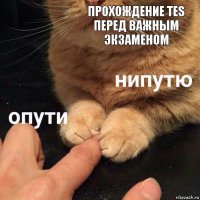 прохождение TES перед важным экзаменом 