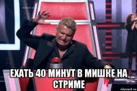  ехать 40 минут в мишке на стриме