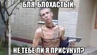 бля, блохастый, не тебе ли я присунул?