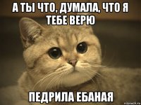 а ты что, думала, что я тебе верю педрила ебаная