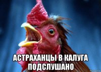  астраханцы в калуга подслушано