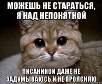 можешь не стараться, я над непонятной писаниной даже не задумываюсь и не проясняю