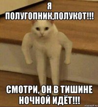 я полугопник,полукот!!! смотри, он в тишине ночной идёт!!!