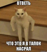 ответь что это я в тапок насрал